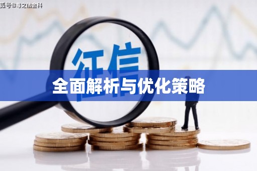 内埔全面解析与优化策略