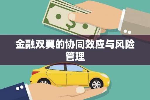 内埔金融双翼的协同效应与风险管理