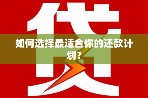 内埔如何选择最适合你的还款计划？