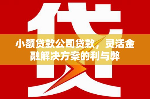 内埔小额贷款公司贷款，灵活金融解决方案的利与弊